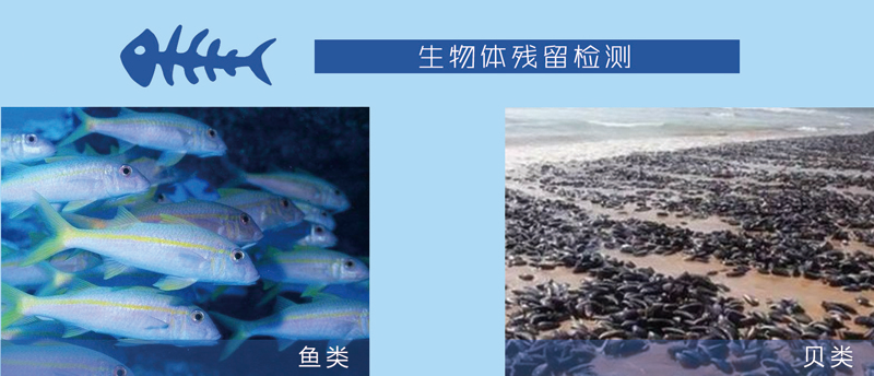 w88win中文手机版