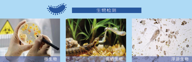 w88win中文手机版