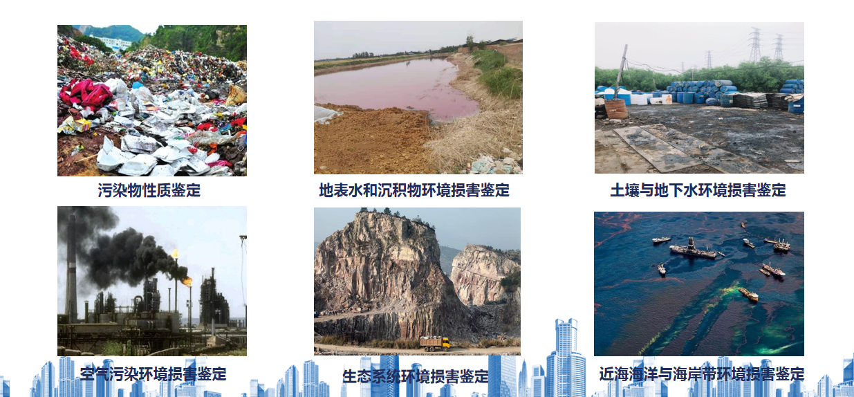 w88win中文手机版