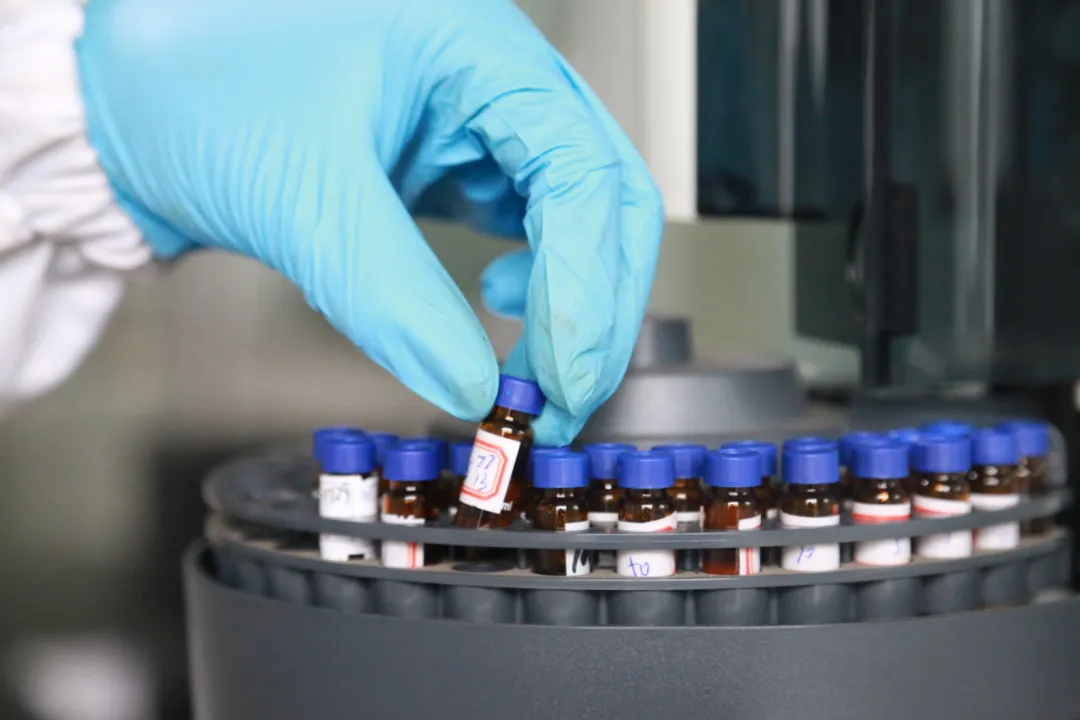 w88win中文手机版