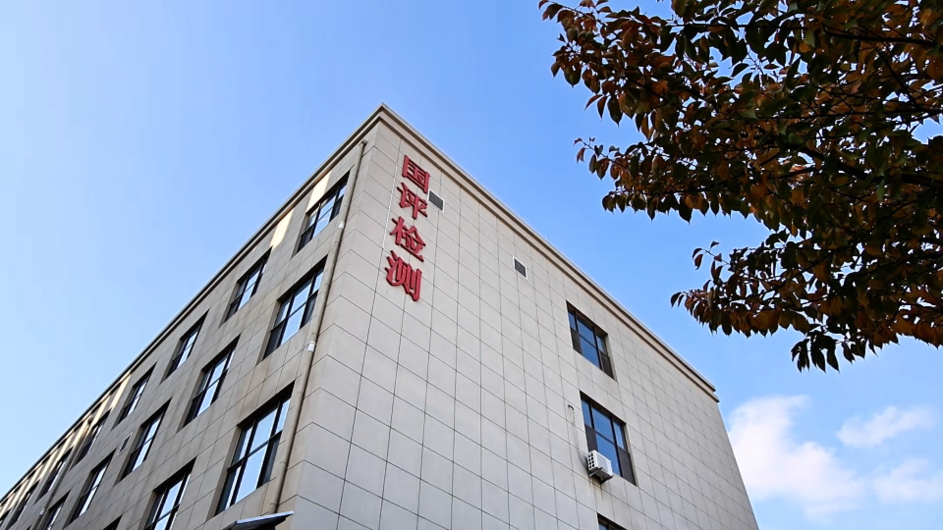 w88win中文手机版